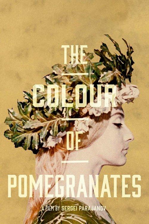The Color of Pomegranates The Color of Pomegranates