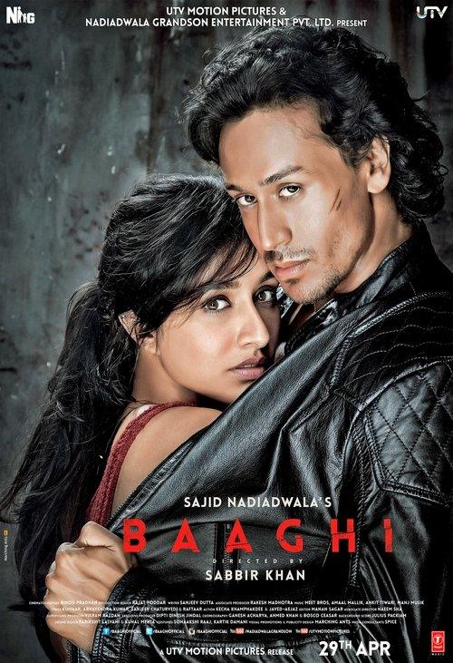 Baaghi Baaghi