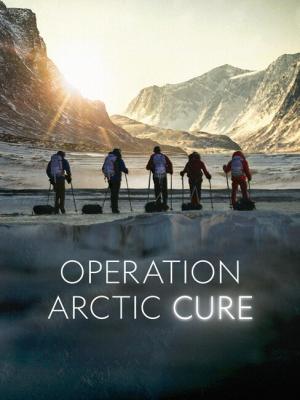Operation Arctic Cure