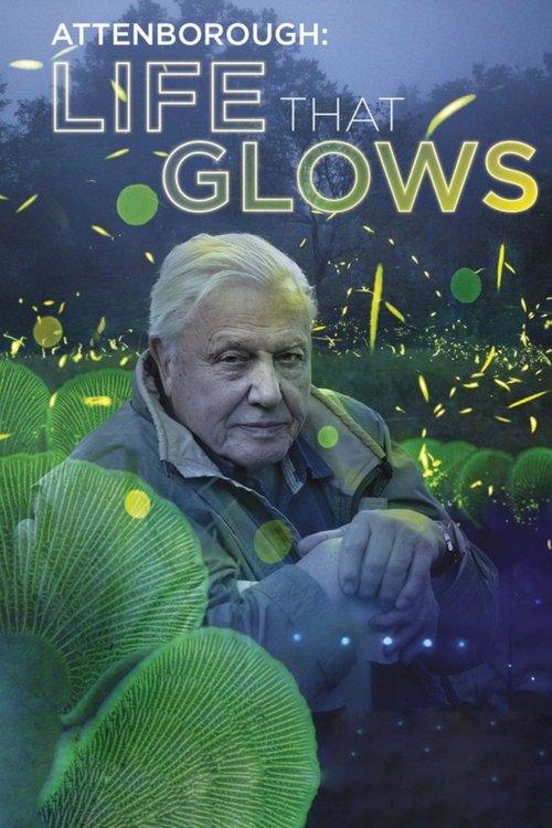 Attenborough's Life That Glows Attenborough's Life That Glows