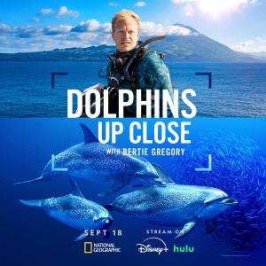 Dolphins Up Close with Bertie Gregory