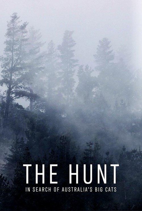 The Hunt: In Search of Australia's Big Cats