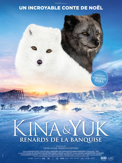 Kina et Yuk, renards de la banquise
