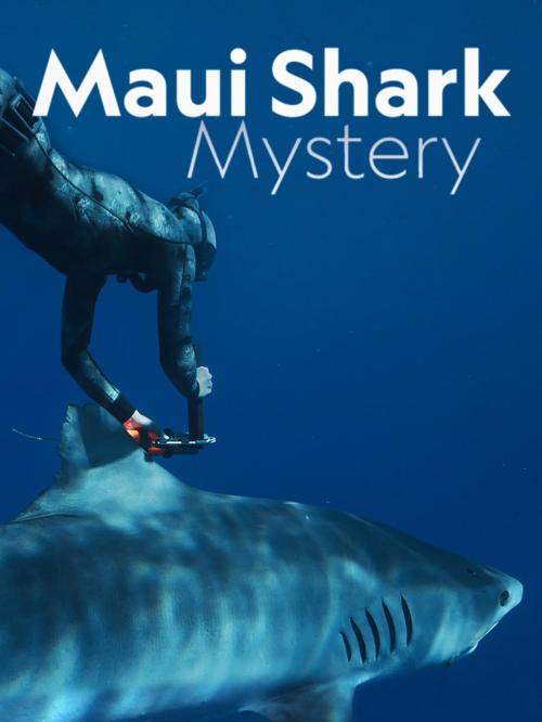 Maui Shark Mystery