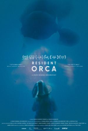 Resident Orca