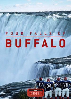 The Four Falls of Buffalo