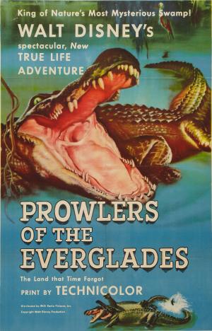 Prowlers of the Everglades
