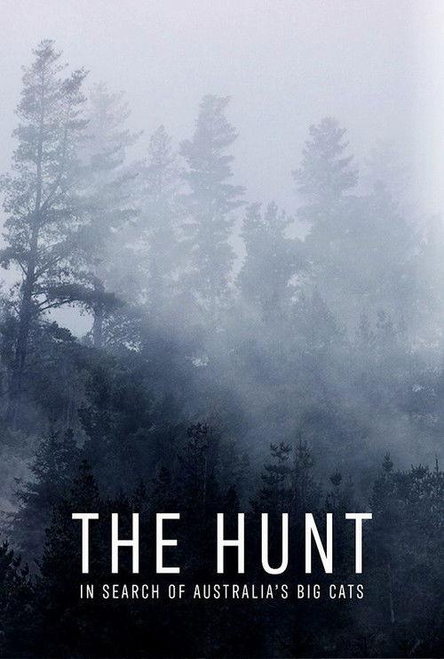 The Hunt: In Search of Australia's Big Cats