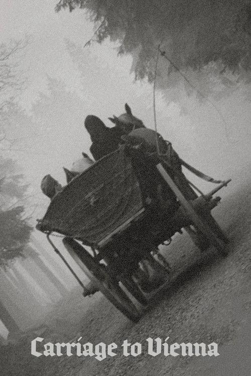 Carriage to Vienna
