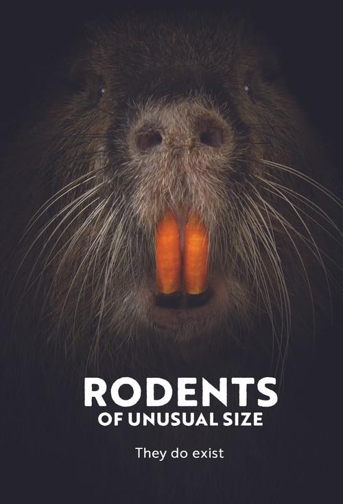 Rodents of Unusual Size