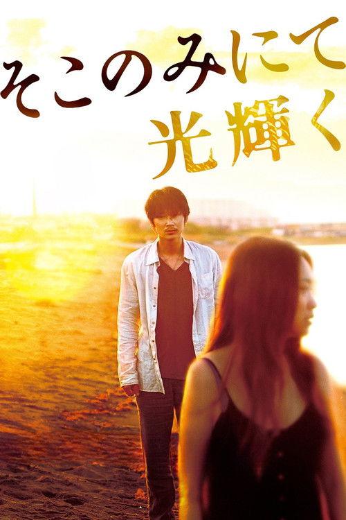 The Light Shines Only There