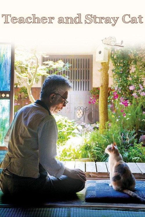 Teacher and Stray Cat