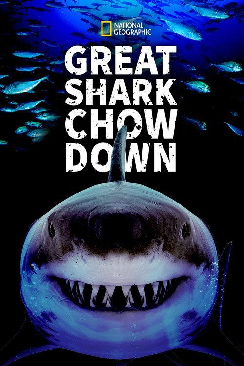 Great Shark Chow Down
