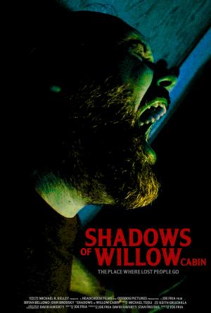 Shadows of Willow Cabin