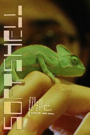 Softshell