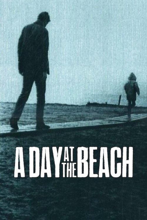 A Day at the Beach