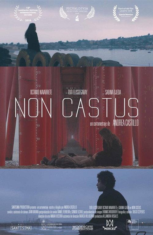 Non Castus