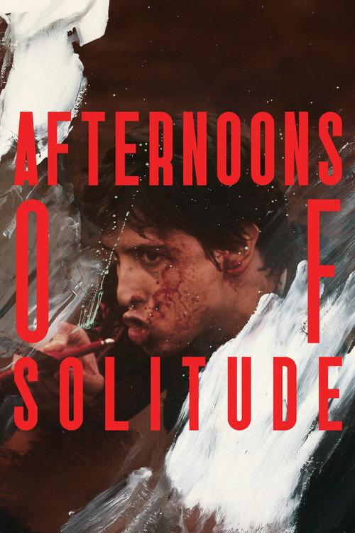 Afternoons of Solitude