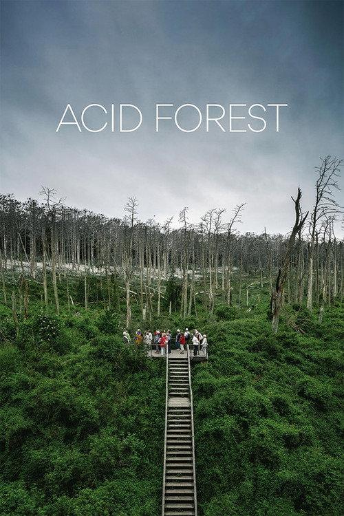 Acid Forest