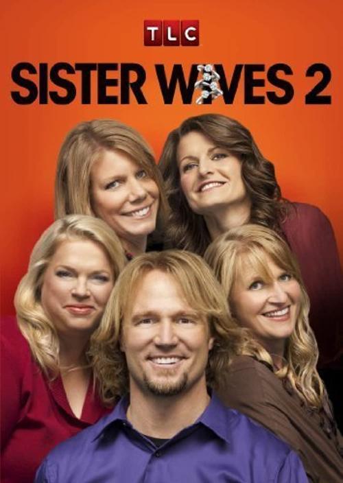 sister wives netflix