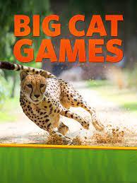 Big Cat Games - MovieBoxPro